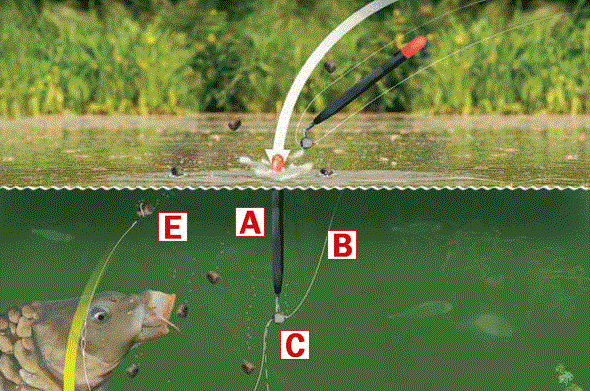 teste..idei..pareri..etc - splasher-waggler-rig1.gif